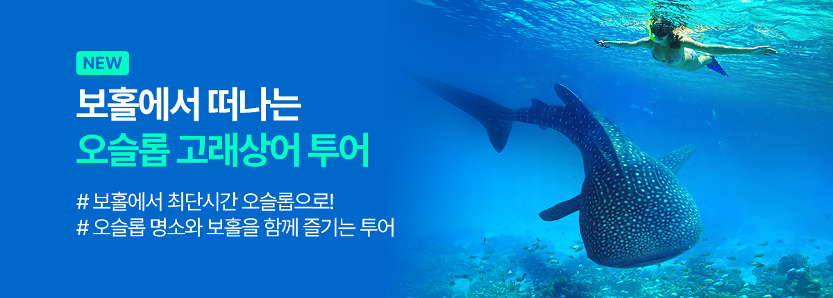 보홀
