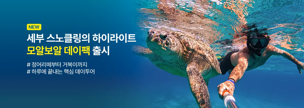 세부점 모알보알데이팩