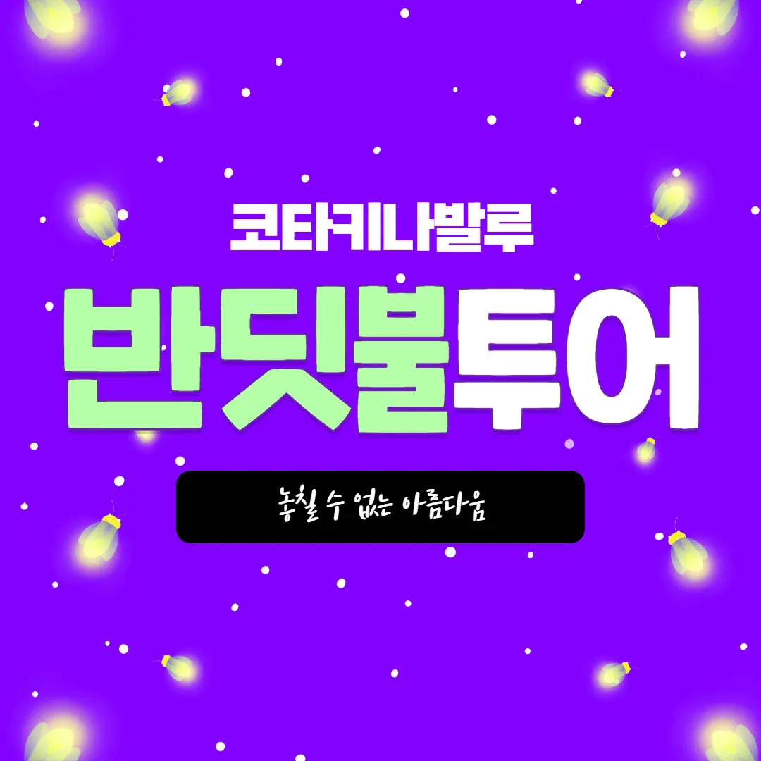 코타키나발루 반딧불투어 놓칠 수 없는 아름다움