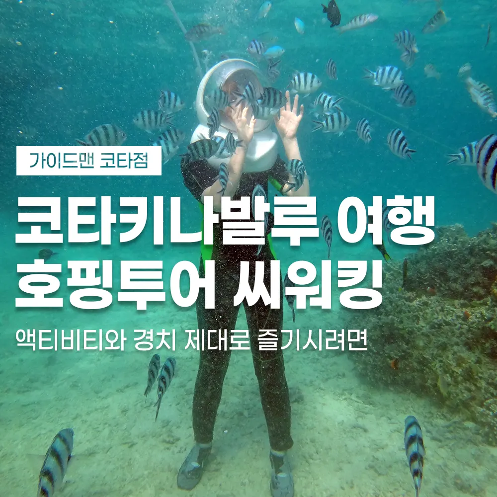코타키나발루 여행 호핑투어 씨워킹 액티비티와 경치 제대로 즐기시려면