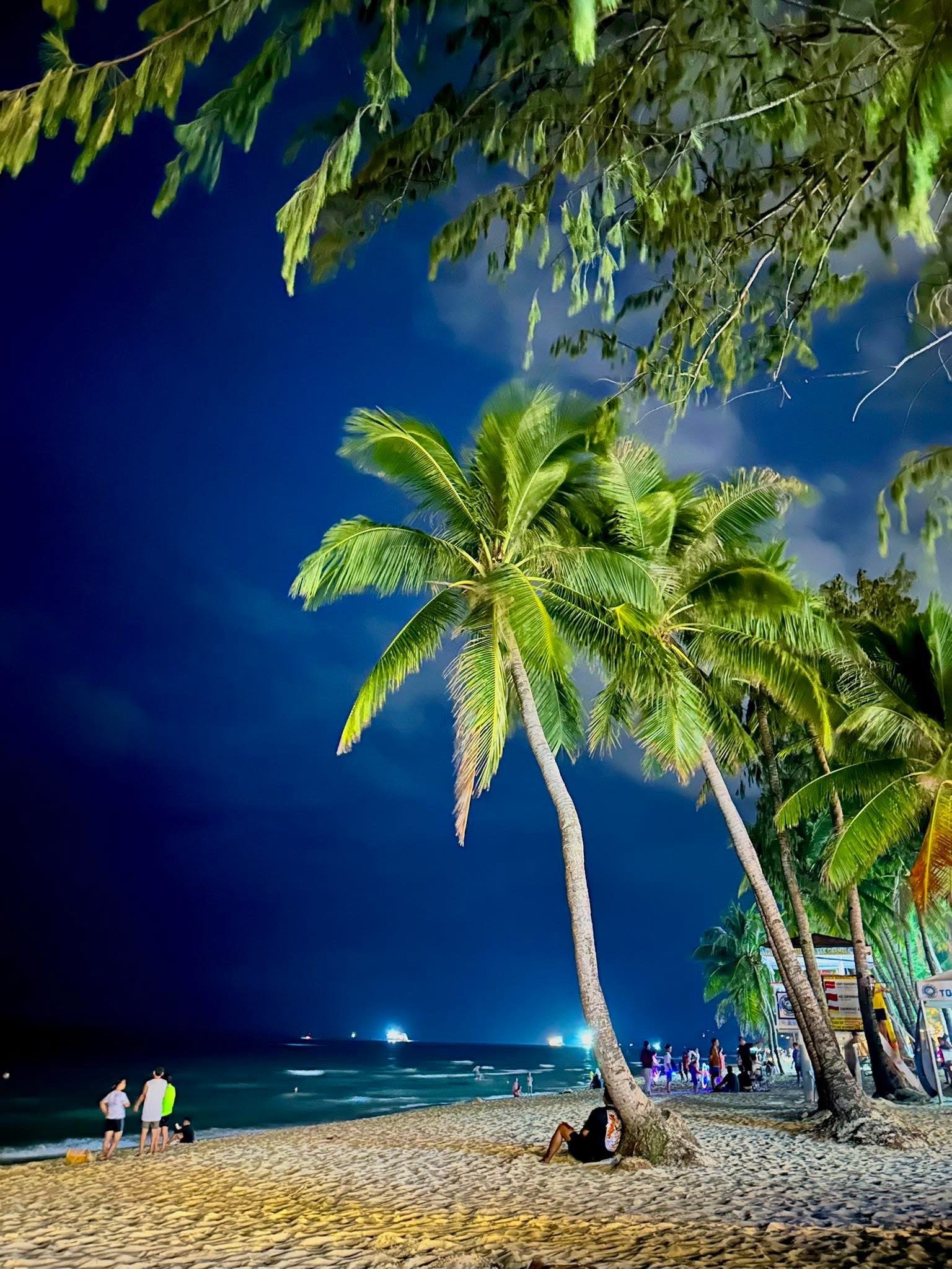 보라카이 나이트