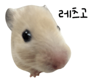 가이드 충성?님과 함께한 베트남 여행 후기?