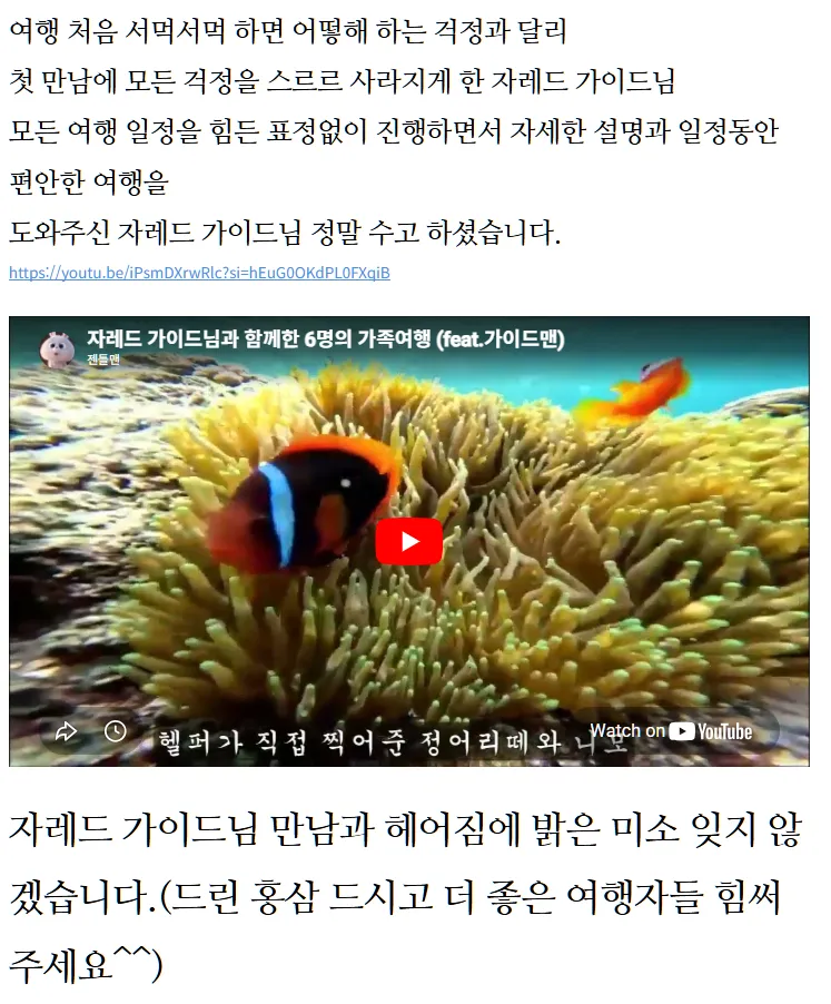 보홀여행 꼭 자레드 가이드님과..(더 좋은 가이드님 있을까요?)