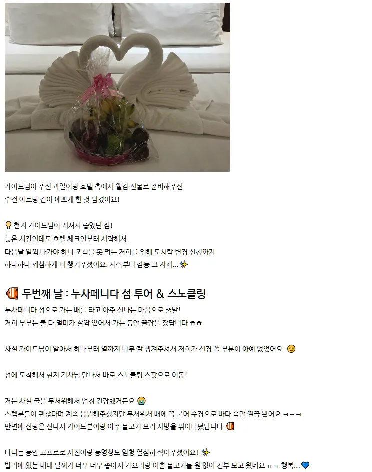 [여행후기  ] 4박 6일 평생 잊지 못할 발리 신혼여행 후기 (feat. 모니카 가이드님)